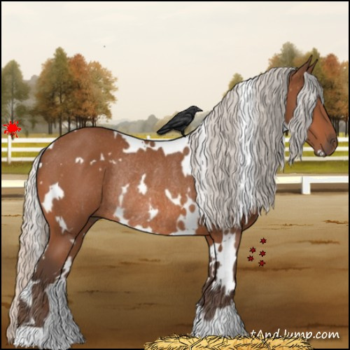 Horse Color:White Spotted Silver Bay Rabicano 