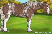 Horse Color:White Spotted Silver Black 