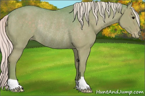 Horse Color:Watercolor Silver Black Appaloosa Rabicano 