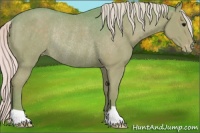 Horse Color:Watercolor Silver Black Appaloosa Rabicano 
