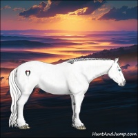 Horse Color:Perlino Sabino Tobiano Blanket and Gray Perlino Sabino Tobiano Blanket