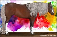 Horse Color:Silver Brown 