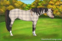 Horse Color:Plaid  Bay Roan Dun 