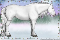 Horse Color:Gray Chestnut