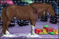 Horse Color:Chestnut Tobiano 