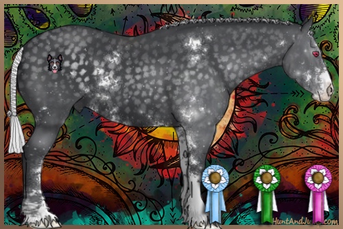 Horse Color:Silver Black Chinchilla Sabino 