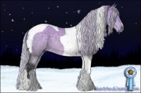 Horse Color:Silver Grullo Chinchilla Tobiano 