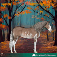 Horse Color:Liver Red Dun Mushroom Sabino Splash 