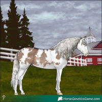 Horse Color:White Spotted Liver Red Dun Mushroom Splash Rabicano
