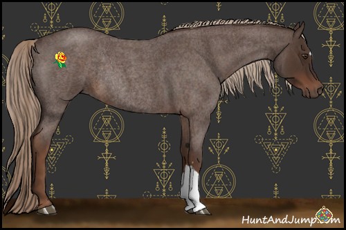 Horse Color:Liver Red Roan Rabicano 
