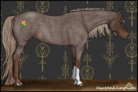 Horse Color:Liver Red Roan Rabicano 