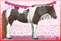 Horse Color:Liver Chestnut Tobiano Rabicano 