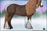 Horse Color:Liver Chestnut Rabicano