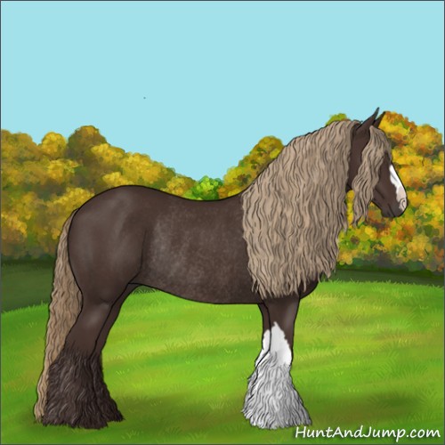 Horse Color:Liver Chestnut Rabicano 
