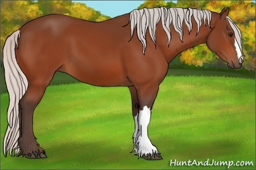 Horse Color:Silver Bay 