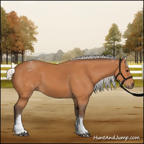Horse Color:White Spotted Silver Bay 