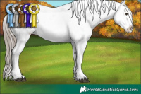 Horse Color:White Spotted Liver Chestnut Sabino Appaloosa Rabicano 