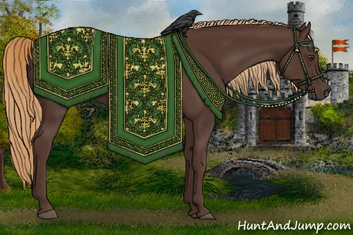 Horse Color:Liver Chestnut Rabicano