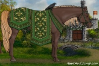 Horse Color:Liver Chestnut Rabicano 