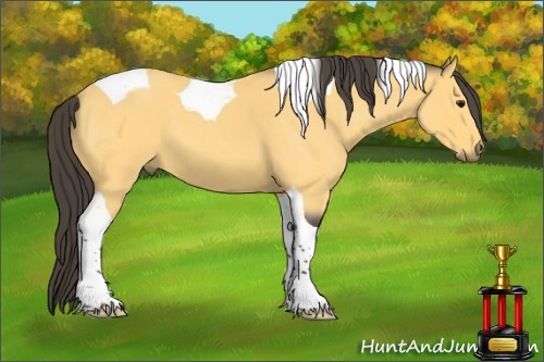 Horse Color:Buckskin Roan Tobiano 