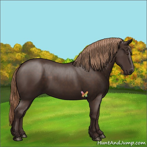 Horse Color:Liver Chestnut Rabicano