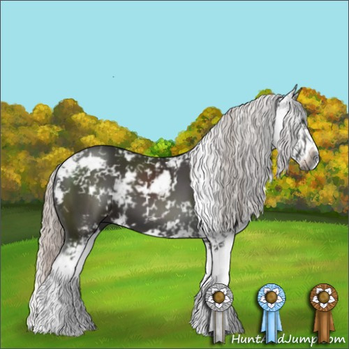 Horse Color:Gray Silver Black Sabino 
