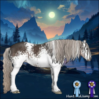Horse Color:Gray White Spotted Silver Black