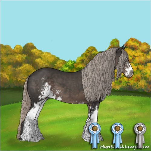 Horse Color:Gray Silver Black Sabino