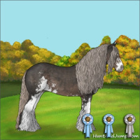 Horse Color:Gray Silver Black Sabino 