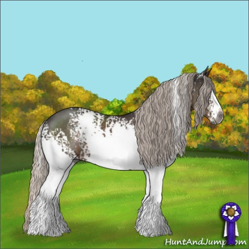 Horse Color:Gray White Spotted Silver Black 