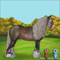 Horse Color:Gray Silver Black Sabino 