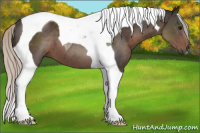Horse Color:Gray Silver Black Tobiano 