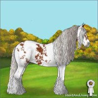 Horse Color:Gray Silver Bay Sabino