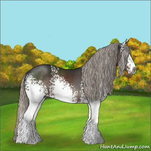 Horse Color:Gray White Spotted Silver Black Sabino