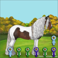 Horse Color:Gray Silver Black Tobiano