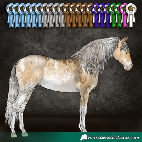 Horse Color:Gray White Spotted Silver Buckskin Pearl Dun Mushroom Rabicano Brindle 