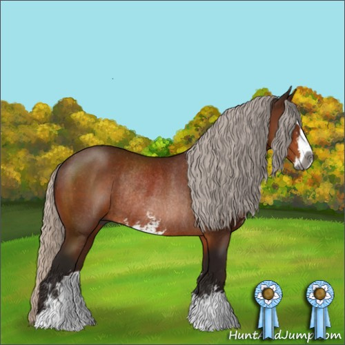 Horse Color:Gray Silver Bay Sabino Rabicano