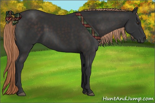 Horse Color:Liver Chestnut Rabicano 
