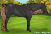 Horse Color:Liver Chestnut Rabicano 