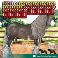 Horse Color:Gray Silver Black Sabino