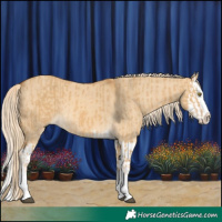 Horse Color:Palomino Dun Mushroom Splash  and Palomino Dun Mushroom Splash 