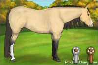 Horse Color:Buckskin Roan 
