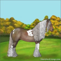 Horse Color:Silver Black Sabino Tobiano Rabicano 