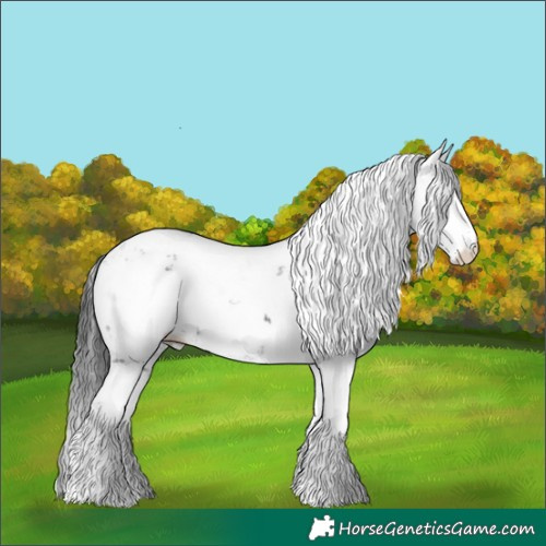 Horse Color:Black Sabino 