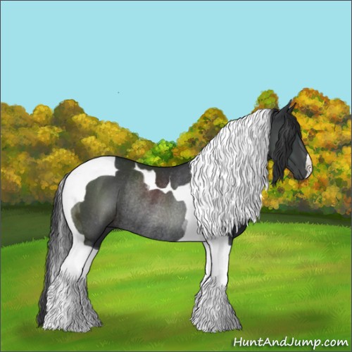 Horse Color:Black Tobiano Rabicano