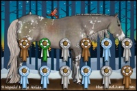 Horse Color:Silver Black Sabino Rabicano 