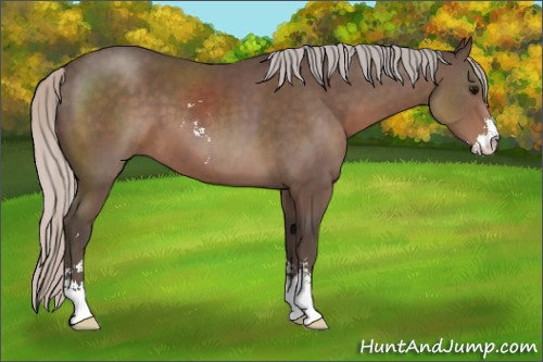 Horse Color:Silver Black Sabino