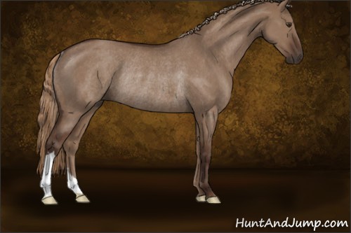 Horse Color:Liver Red Dun Rabicano 