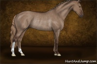 Horse Color:Liver Red Dun Rabicano