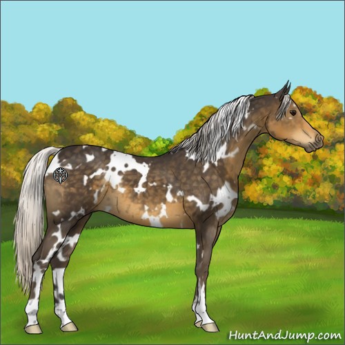 Horse Color:White Spotted Silver Smoky Black 